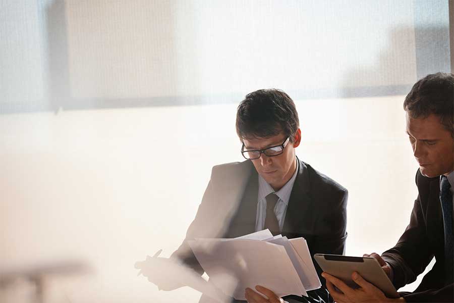 Professionals checking the documents